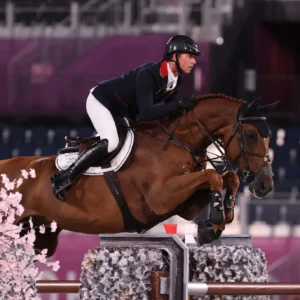 Attività equestri