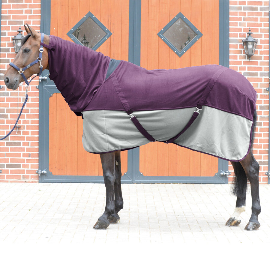 Coperta pile Comfort Plus con cinghie e collo - ULTIMI PEZZI - - immagine 2