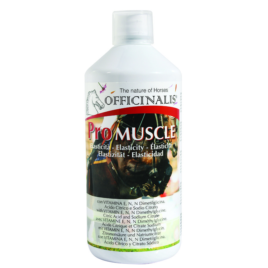 Pro muscle aiuta a prevenire e neutralizzare la formazione di acido lattico 1 Kg