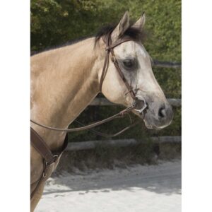 Briglia Westride di Franck Perret - Colorado