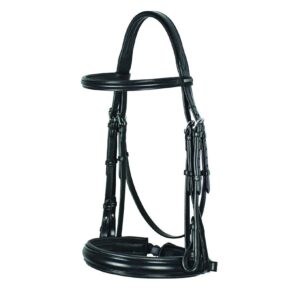 Briglia Evolution da Dressage