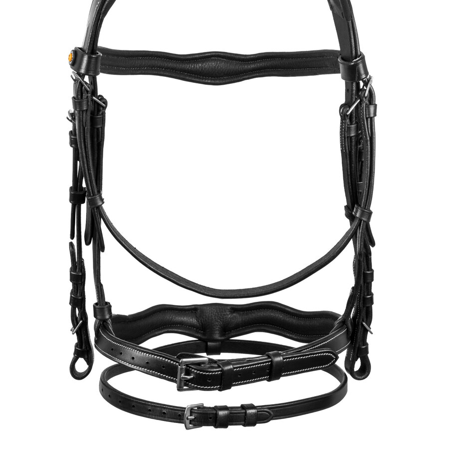 Testiera anatomica con logo - immagine 4