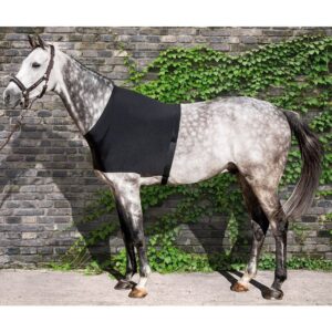 Pettorina equiline in lycra edinburgh