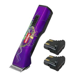 Tosatrice saphir style due batterie