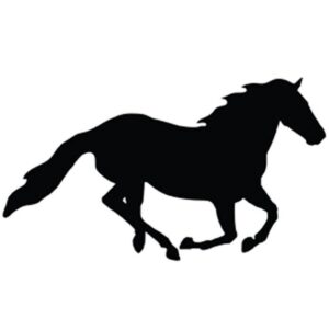Adesivo auto -Galoppo-