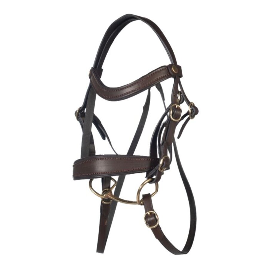 Briglia Hobby Horsing Basic - immagine 2
