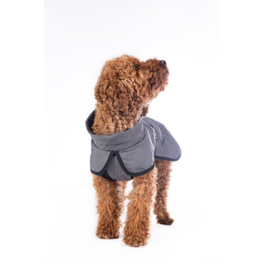 Cappottino per cani -Buddy- con pile