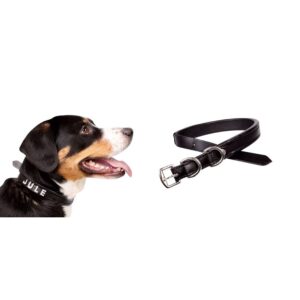 Collare per cane con porta nome