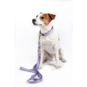 Guinzaglio addestramento cane -Qooper- nylon
