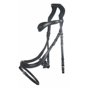 Testiera Anatomic