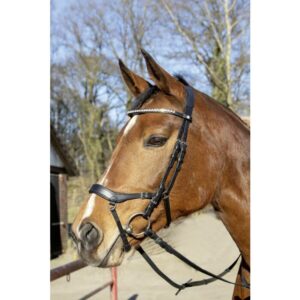 Trense -Pro Anatomic-