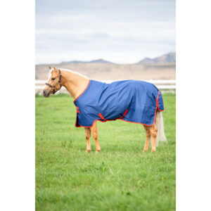 Coperta da paddock Turnout 200g - ULTIMI PEZZI -