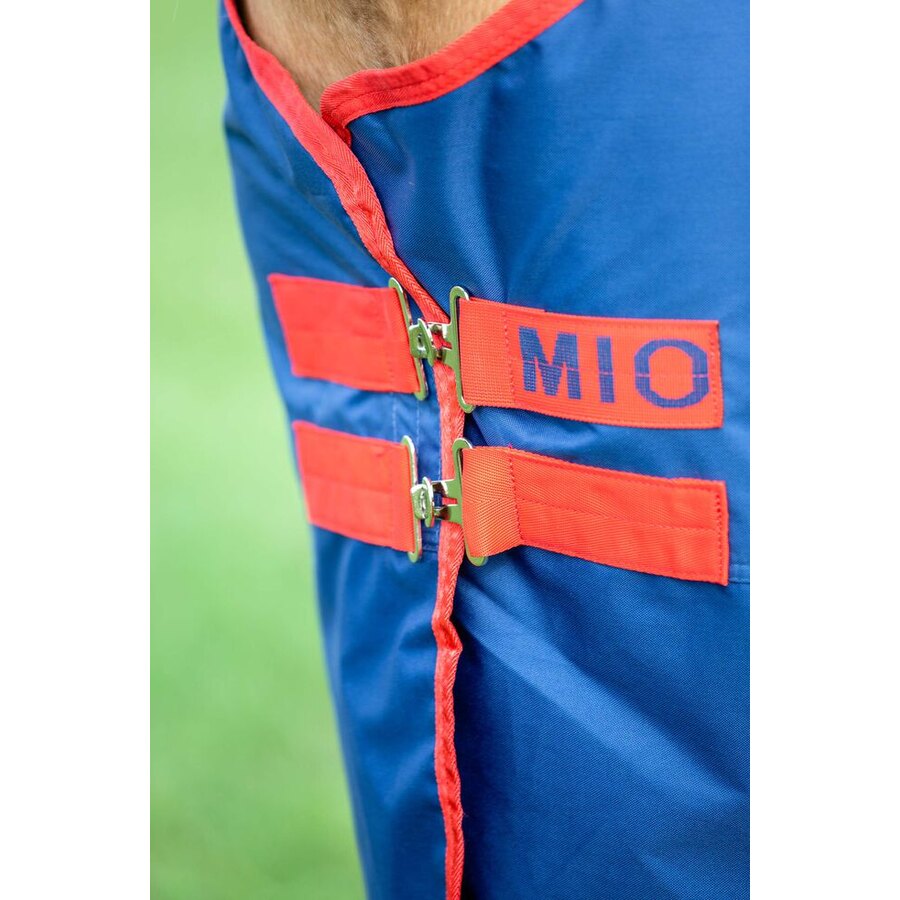 Coperta da paddock Turnout 200g - ULTIMI PEZZI - - immagine 2