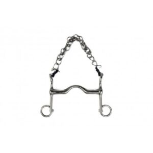 Bridle bit short legs