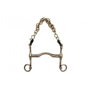 Cyprium bridle bit, short shanks