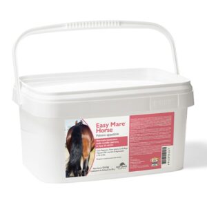 Easy Mare Horse