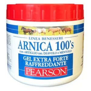Arnica 100 Gel