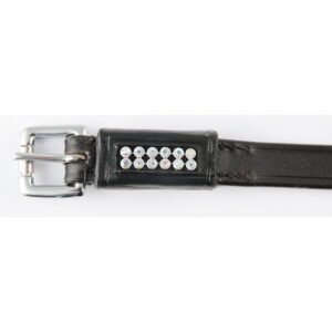 Lacciolini con strass