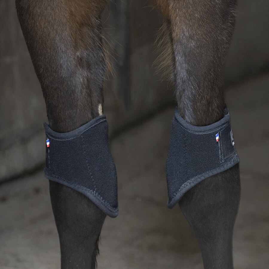 Ginocchiere per cavallo Arkana