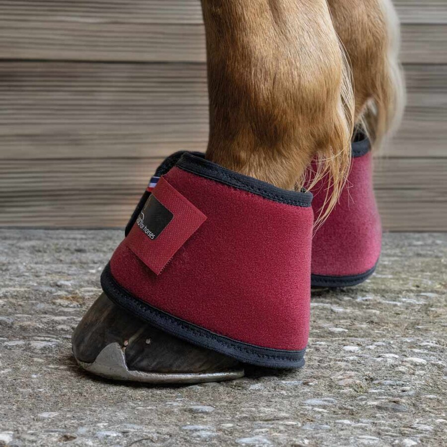 Paraglomi Pompon in morbido neoprene