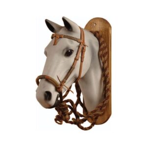 Bosal set pool's composto da testiera, bosal e mecate