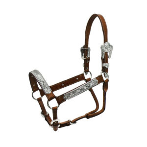 Cavezza argenti elht/00932
