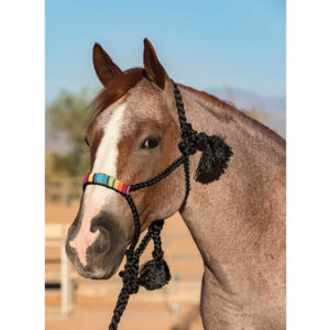 Cowboy braided halter