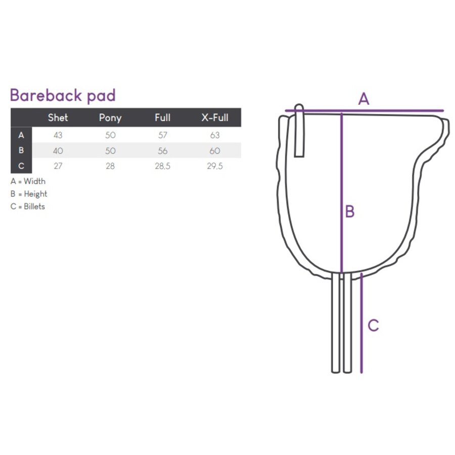 Bareback - immagine 2