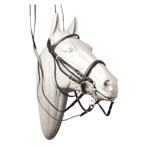 Briglia da dressage in cuoio