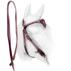 Briglia western in cuoio