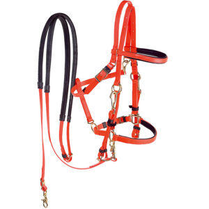 Briglia cavezza pvc con redini