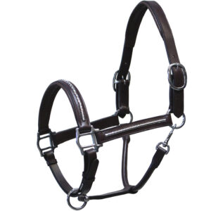 Cavezza con clincher