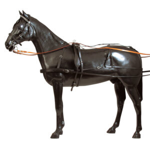 Finimento da carrozza completo