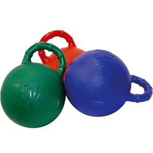 Horseball semirigida con box