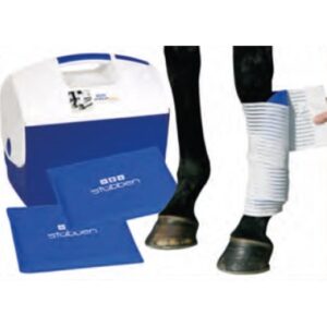 2 set di Kryo Kompakt Horse e box termico