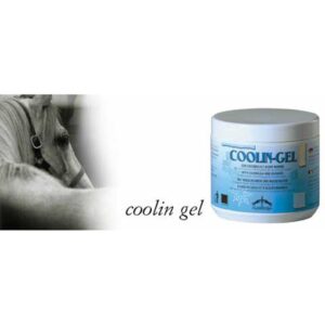 Gel rinfrescante veredus coolin gel 500 ml