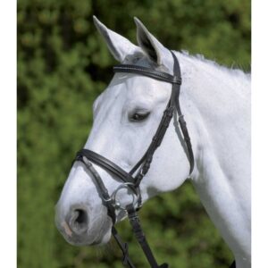 Briglia Diamond STAR