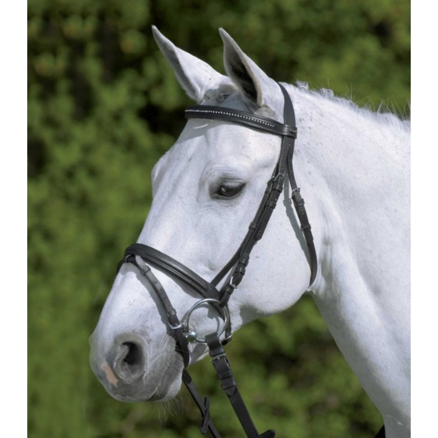 Briglia Diamond STAR