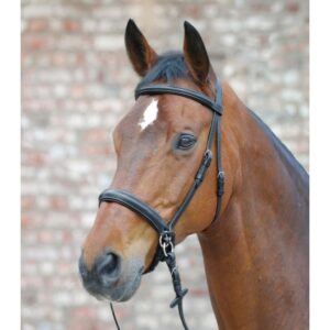 Briglia STAR Bitless