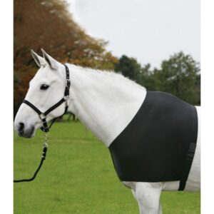 Protezione Comfort Vest