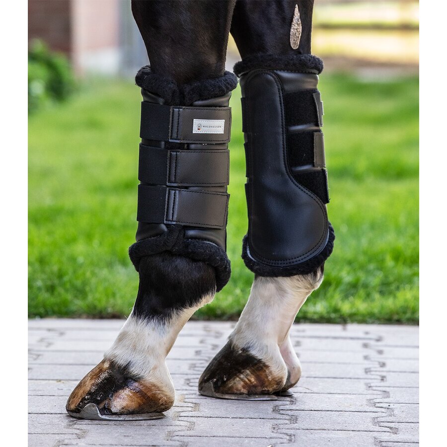 Stinchiere con pelo da dressage